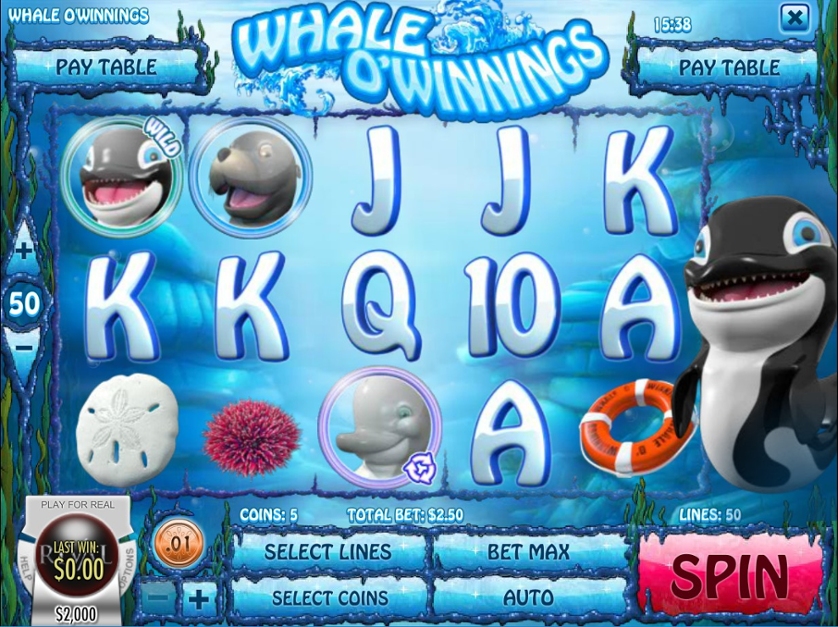   Whale OWinnings            
